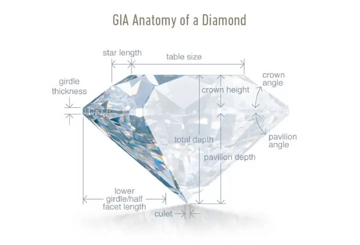 Diamond anatomy